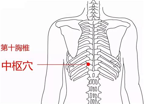 陽泉穴